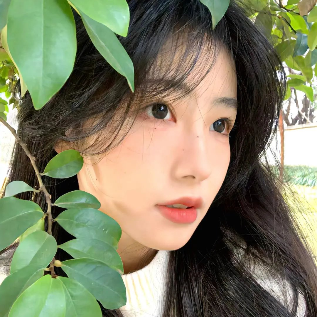 梯田姐妹